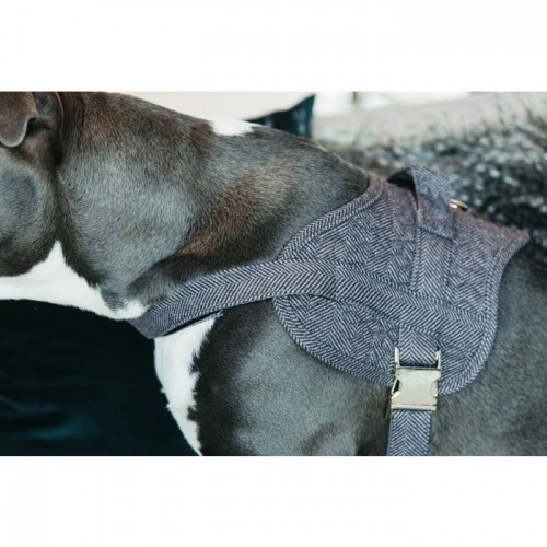 Kentucky Dog Harness Body Safe Wool