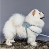 Kentucky Dog Harness Body Safe Wool