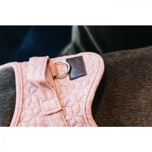 Kentucky Dog Harness Body Safe Wool