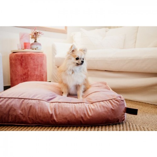 Kentucky Dog Bed Pillow Velvet