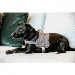 Kentucky Dog Harness Body Safe Wool