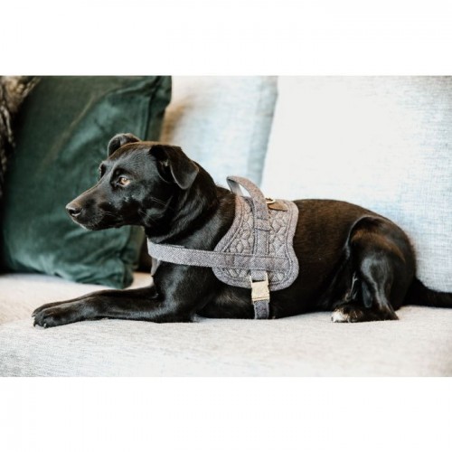 Kentucky Dog Harness Body Safe Wool
