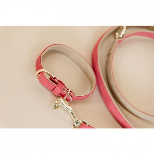 Kentucky Dog Collar Soft Vegan Leather