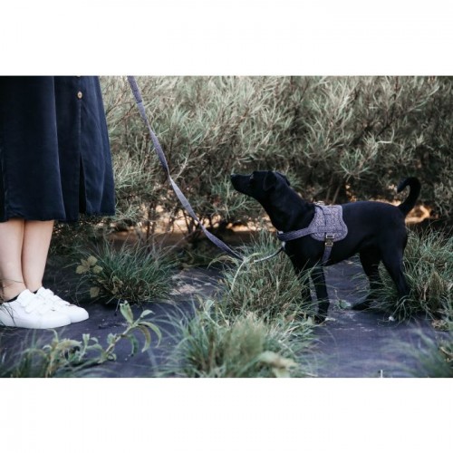 Kentucky Dog Harness Body Safe Wool