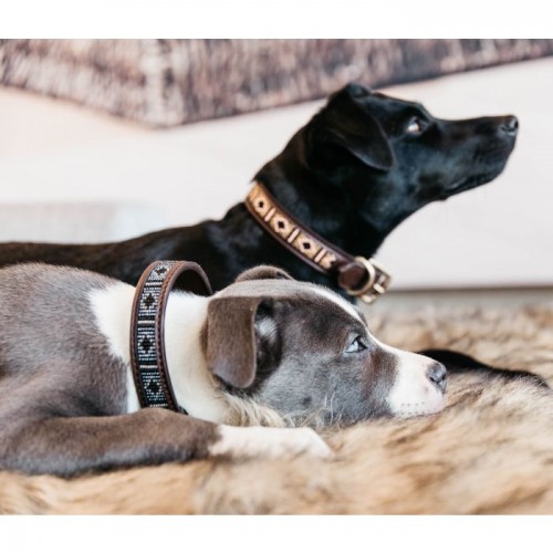 Kentucky Dog Collar Handmade pearls