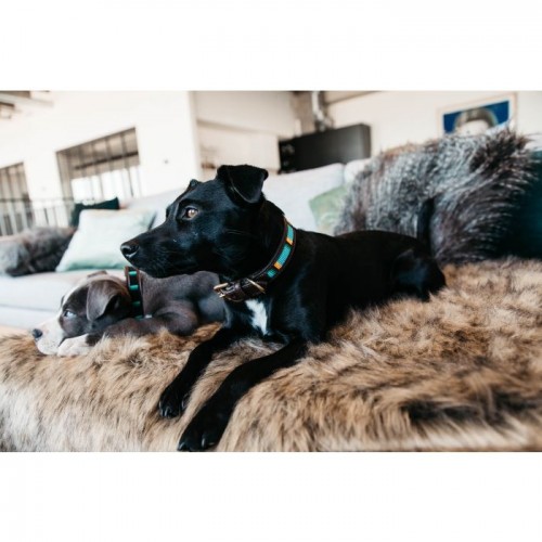 Kentucky Dog Collar Handmade pearls