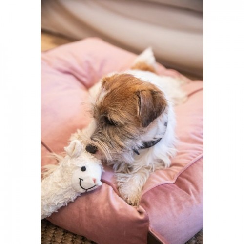 Kentucky Dog Bed Pillow Velvet