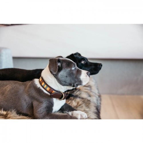 Kentucky Dog Collar Handmade pearls