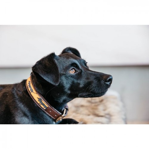 Kentucky Dog Collar Handmade pearls