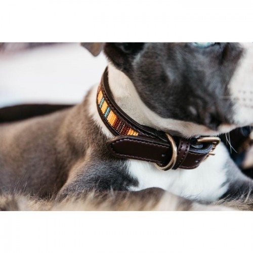 Kentucky Dog Collar Handmade pearls