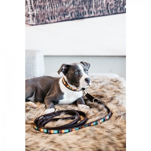 Kentucky Dog Collar Handmade pearls