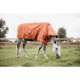 Kentucky Turnout Rug All weather Waterproof Pro 160g Autumn Orange