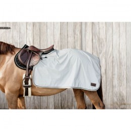 Kentucky Quarter Rug Reflective