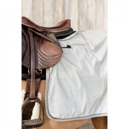 Kentucky Quarter Rug Reflective