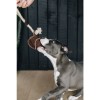 Kentucky Dog Toy Cotton Rope Baseball