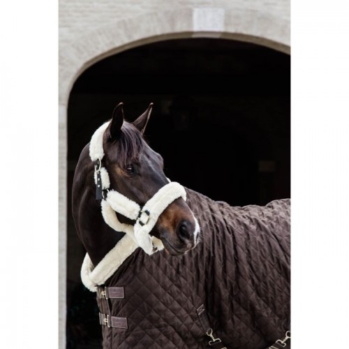 Kentucky Show Rug 160g Brown