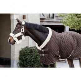 Kentucky Show Rug 160g Brown