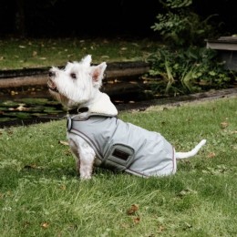 Kentucky Dog Coat Waterproof 160g Dusty Blue