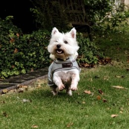 Kentucky Dog Coat Waterproof 160g Dusty Blue