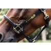 Kentucky Anatomic Leather Halter