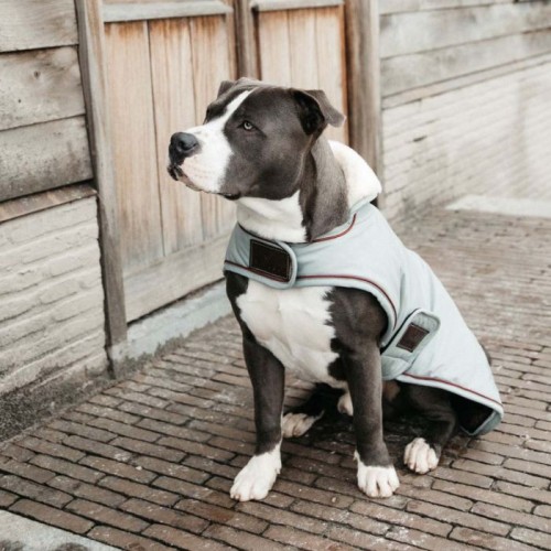 Kentucky Dog Coat Waterproof 160g Dusty Blue