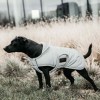Kentucky Dog Coat Reflective