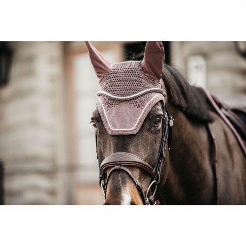 Kentucky Earnet Wellington Velvet