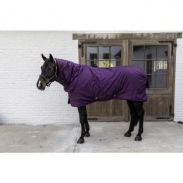 Kentucky Turnout Rug All weather Waterproof Pro 160g Royal Purple