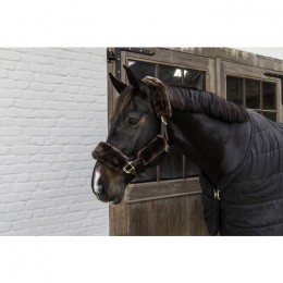 Kentucky Halter Furs