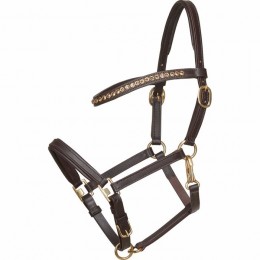 Horseguard foal show halter