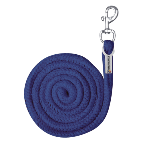 Waldhausen Leadrope with Karabiner