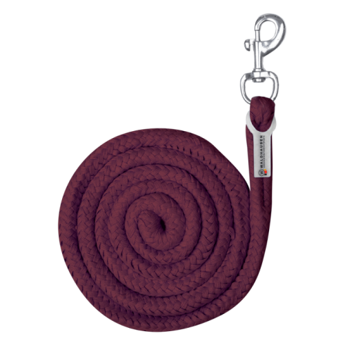 Waldhausen Leadrope with Karabiner