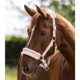 Waldhausen SS25 Halter Elegant