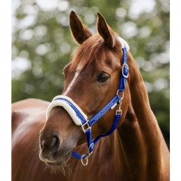 Waldhausen SS25 Halter Elegant