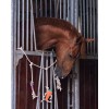 QHP Horse toy box hanger