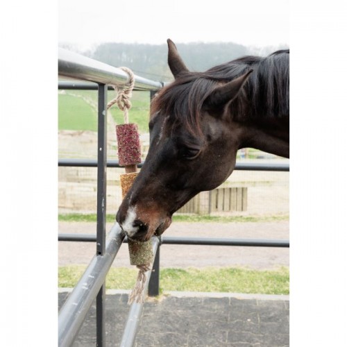 Grooming Deluxe Wooden Relax Horse Toy De-Stress