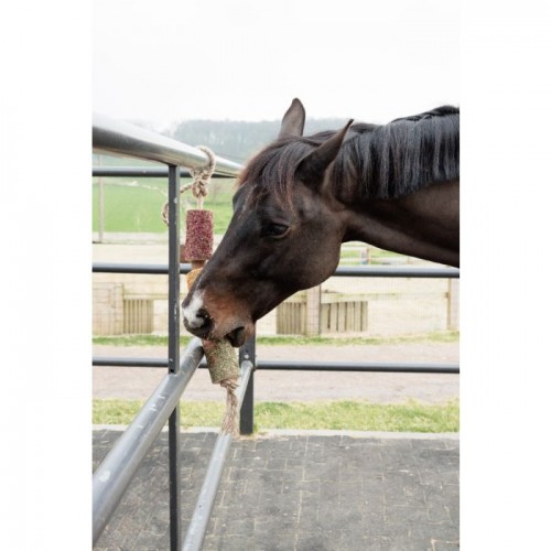 Grooming Deluxe Wooden Relax Horse Toy De-Stress