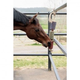 Grooming Deluxe Wooden Relax Horse Toy Freedom