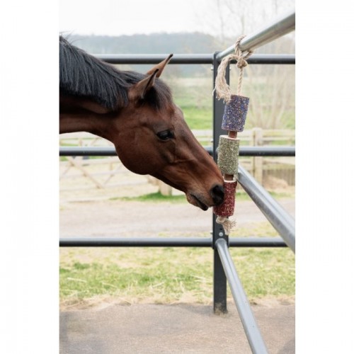 Grooming Deluxe Wooden Relax Horse Toy Freedom