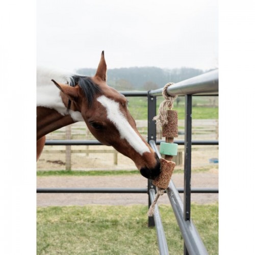 Grooming Deluxe Wooden Relax Horse Toy Salt Stone Airways