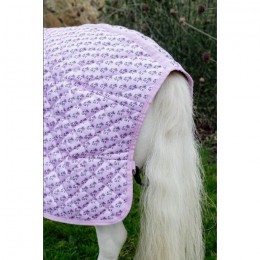 Kentucky Show Rug Sammy Collection