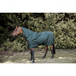 Kentucky Neck All Weather Waterproof Pro 150g Dark Green