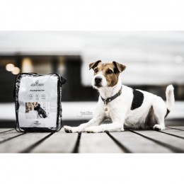 Kentucky Dog Collar Loop