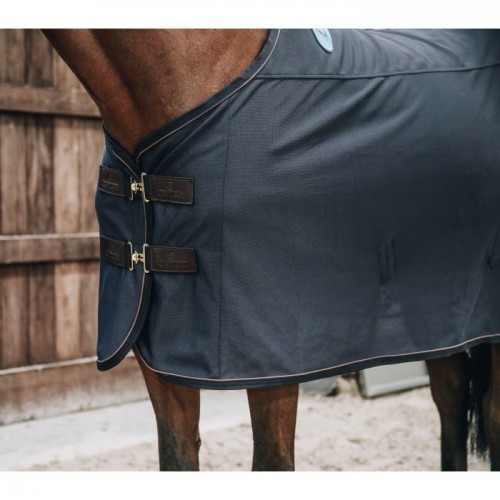 Kentucky Magnetic Rug Recuptex