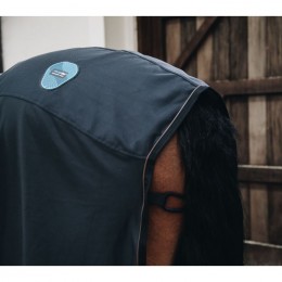 Kentucky Magnetic Rug Recuptex