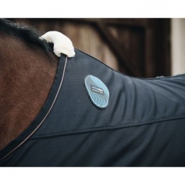 Kentucky Magnetic Rug Recuptex