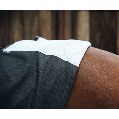 Kentucky Magnetic Rug Recuptex