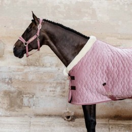 Kentucky Show Rug Velvet 160g Old Rose