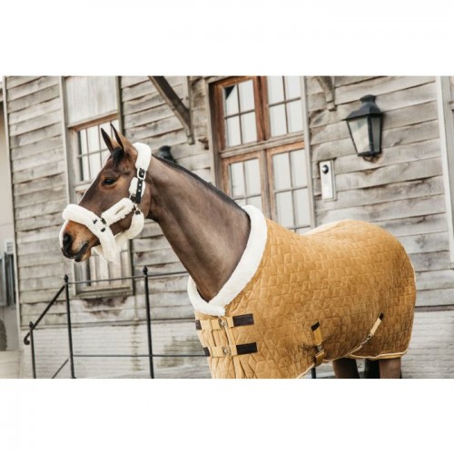 Kentucky Show Rug Velvet 160g Mustard