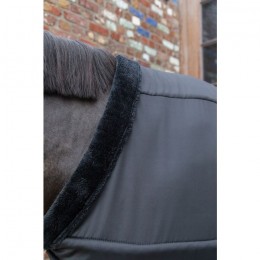 Kentucky Chest Protection